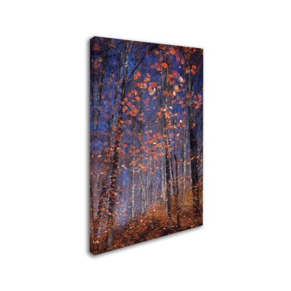 Florentin Vinogradof 'Autumn Leaves' Canvas Art,30x47